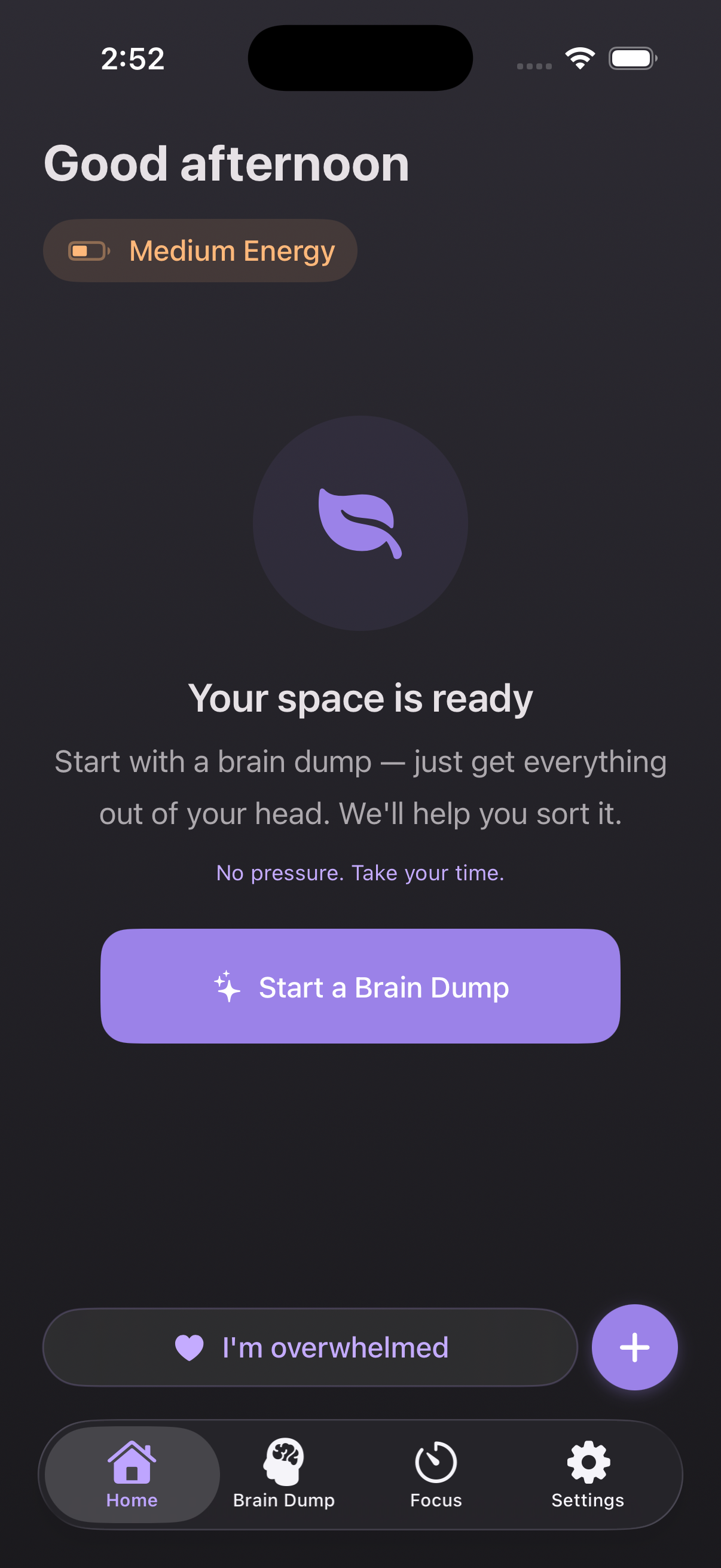 ADDMind empty Home state — 'Your space is ready' with a calm leaf glyph and a Start a Brain Dump invitation